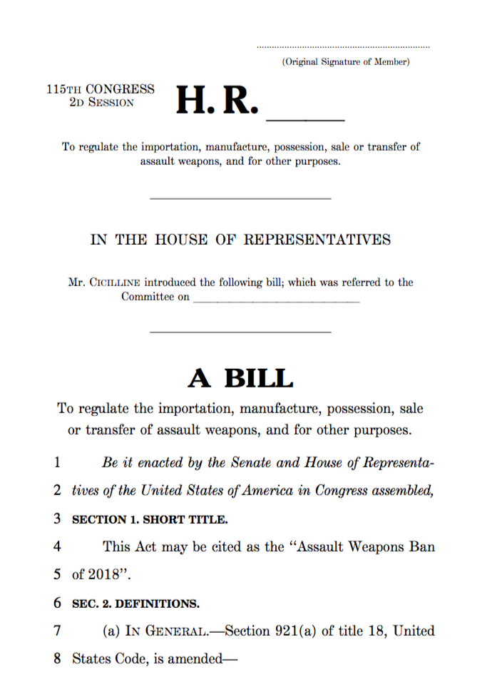 Assault Weapon Ban 2018