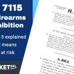 [EXPLAINED] HR 7115 – 3D Firearms Prohibitions Act